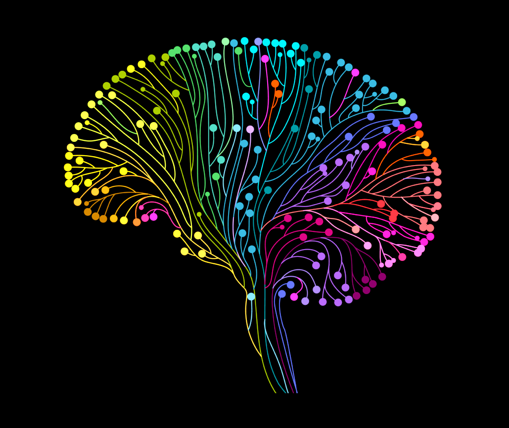 Bouw een extra brein voor je bedrijf